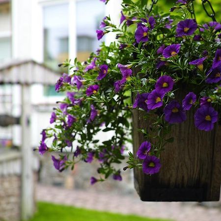 Adomo Rojus Apartman Palanga Kültér fotó