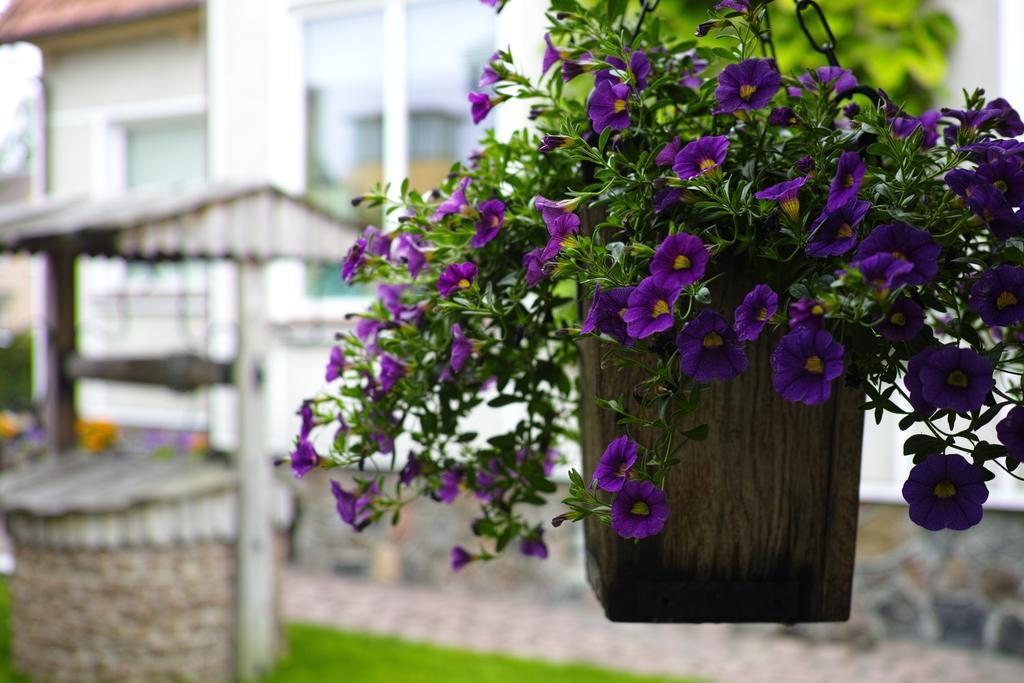 Adomo Rojus Apartman Palanga Kültér fotó